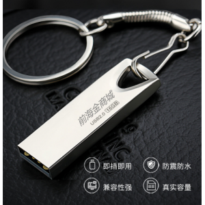 Metal USB Disk