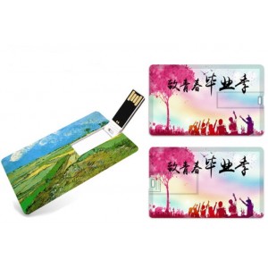 Card Flash Disk