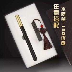 U Disk Signature Pen