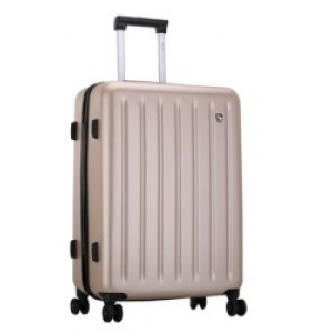 Fashion Trolley Case