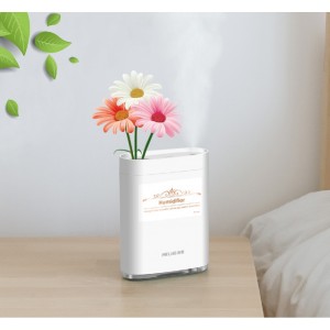 Fashionable Humidifier