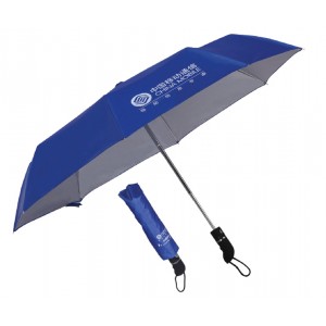 Automatic Umbrella