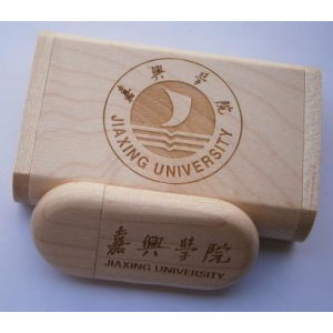 Wooden U Disk