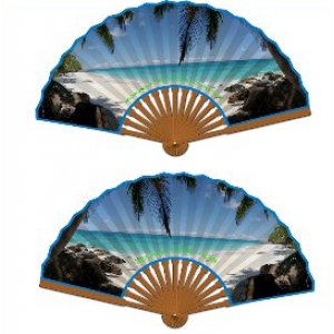 Bamboo Folding Fan